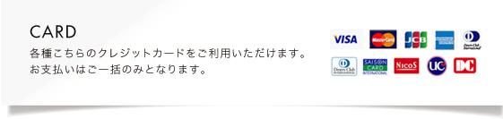 各種こちらのクレジットカードをご利用いただけます。お支払いはご一括のみとなります。